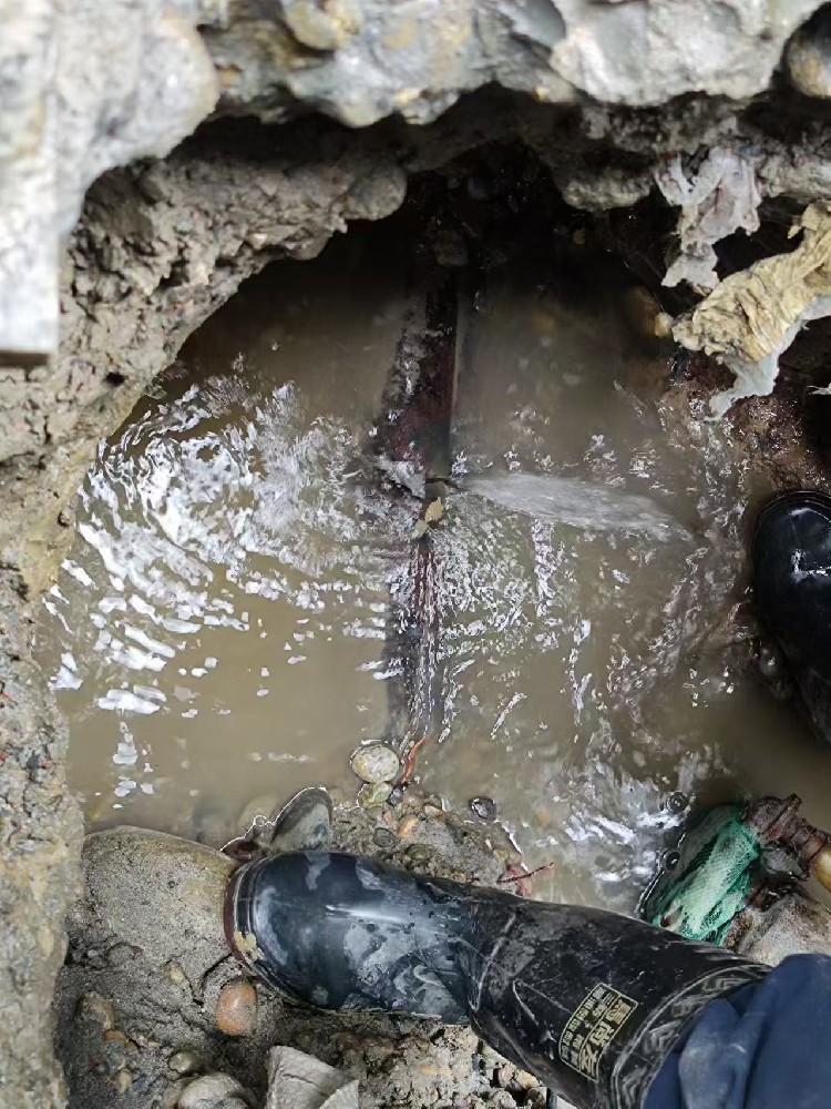 黄石地区绿化水管漏水检测维修